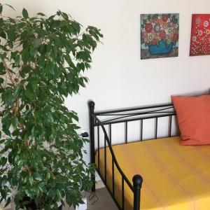 a bedroom with a bed and a plant at Summer Knights in Rhodes Town