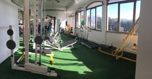 Fitness centrum a/nebo fitness zařízení v ubytování G&D Hotel Deanna Pool&Brunch