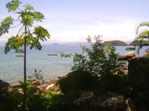 a view of a beach with trees and the water at Pousada Cibeles in Praia de Araçatiba