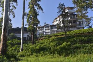 an apartment building on a hill with trees at Tea Hills Bungalow in Hatton