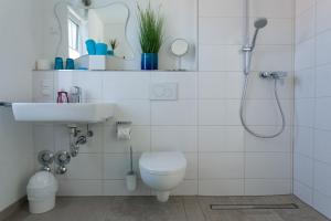 a bathroom with a toilet and a sink and a shower at Ferienwohnungen Herzle in Bad Krozingen