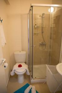 a bathroom with a shower and a toilet and a sink at Paphos Love Shack Apartment in Paphos City