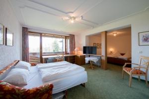 TV a/nebo společenská místnost v ubytování Hotel St. Ulrich Garni