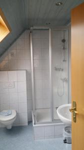een badkamer met een douche, een toilet en een wastafel bij Haus Grundner in Großsölk