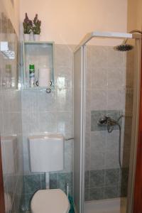 a bathroom with a shower with a toilet and a shower at Apartment Tina Istra in Buje +25 photos