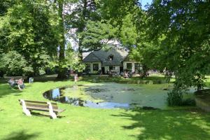 un parque con un banco y un estanque frente a una casa en B&B Onder de rode beuk en Dieren