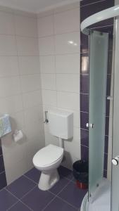 FîntîneleにあるCasa Agnes Vendeghazの小さなバスルーム(トイレ、シャワー付) +71枚の写真