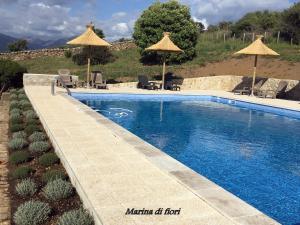 Piscina de la sau aproape de Marina di fiori