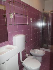 uma casa de banho roxa com um WC e um lavatório em Hotel Central Jardim no Gerês