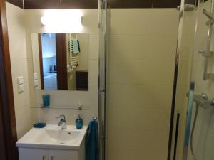 a bathroom with a sink and a shower with a mirror at Apartament Aquamarina in Świnoujście
