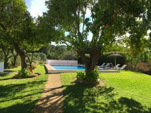 um quintal com piscina, árvores e relva em Ventorro del Herrero - The Old Forge em Gaucín