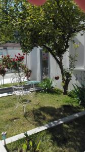 un cortile con un albero e una sedia di fronte a una casa di I Colori di Mag a La Spezia