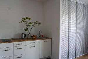 a kitchen with white cabinets and a plant on the counter at Lovely Jubbly Apartment in Kraków