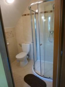 a bathroom with a toilet and a glass shower at Apartmány Černá Voda in Černá Voda