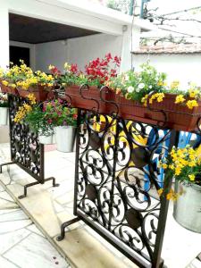 Galeriebild der Unterkunft Family hotel Rose in Pavel Banya