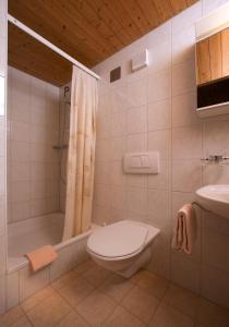 ein Bad mit einem WC, einer Dusche und einem Waschbecken in der Unterkunft Berghaus Nagens in Flims