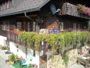 Afbeelding uit fotogalerij van Haus Biehler in Todtmoos +23 foto's