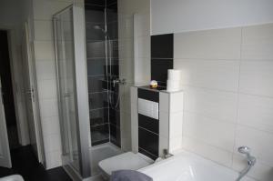 een badkamer met een douche en een toilet bij Ferienwohnung Markkleeberg Ost-See in Markkleeberg