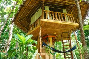 a tree house in the middle of the forest at Water to Forest Ecolodge in Loboc