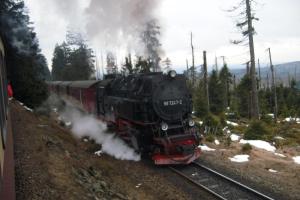 un tren de vapor está viajando por las vías en Ferienwohnung an der Brockenbahn, en Wernigerode
