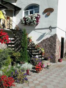 a bunch of flowers in front of a building at Kvitkovyi Rai in Slavske