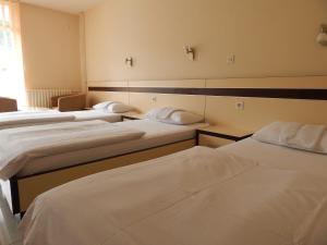 Postel nebo postele na pokoji v ubytování Hotel Zelengora