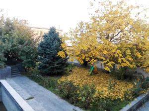 Zahrada ubytování Villa Rosa