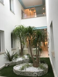 Vonkajšia záhrada v ubytovaní Hotel Bellariva