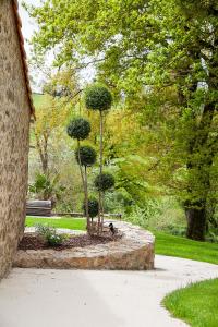 A garden outside Le Mas des Roches proche Puy du Fou