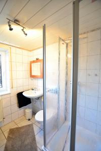 a bathroom with a shower and a toilet and a sink at Ferienwohnung Wegst in Schweigen-Rechtenbach
