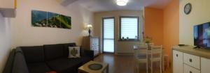 Televízia a/alebo spoločenská miestnosť v ubytovaní Apartament Akuratny Zakopane