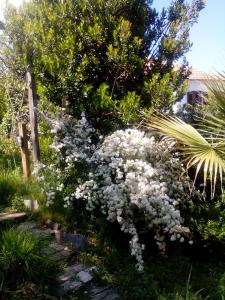Vonkajšia záhrada v ubytovaní Nightingale Cottage Pelion