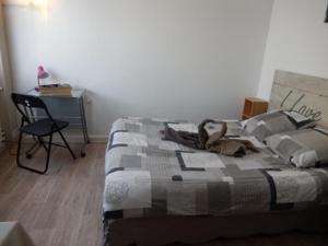 Ένα ή περισσότερα κρεβάτια σε δωμάτιο στο Le Studio Sam +5 φωτογραφίες