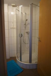 カッペル・グラーフェンハウゼンにあるHoliday Home Debacherのバスルーム(ガラスドア付きのシャワー付)