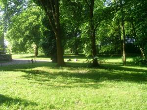 Ogród w obiekcie HOTEL - Pałac Słonowice
