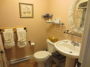 a bathroom with a toilet a sink and a mirror at Au NIDaigle in Saint-Basile