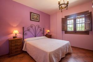 a bedroom with purple walls and a bed and a window at La Solana De Domingo in Viñuela