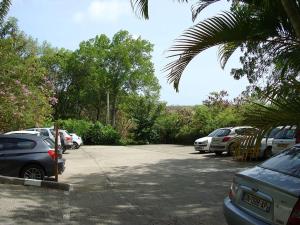 Foto sihtkohas Sainte-Anne asuva majutusasutuse Palm'Studio Anse de Caritan galeriist