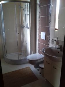 a bathroom with a shower and a toilet and a sink at Pensiunea Damiris in Baile Felix +28 photos