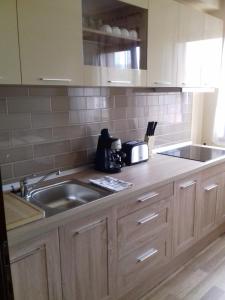a kitchen with a sink and a counter top at Pensiunea Damiris in Baile Felix