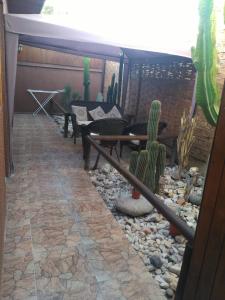 Foto sihtkohas Copiapó asuva majutusasutuse Hostal Cactus Copiapo galeriist
