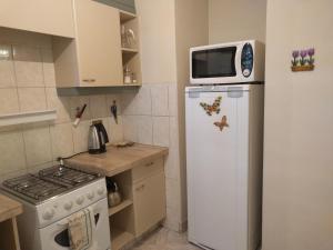 cocina con microondas y nevera en Apartamentos Sercan, en Cochabamba