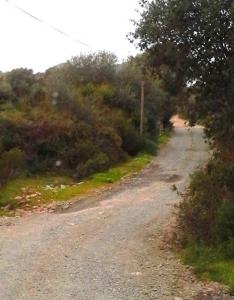 a dirt road with trees on the side of it at La Canardiere in Casta