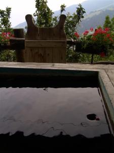 Bazén v ubytování Agriturismo Lo Ratelé nebo v jeho okolí