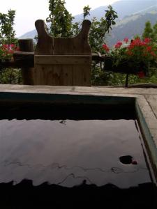 una piscina d'acqua di fronte a una panchina di Agriturismo Lo Ratelé ad Allein