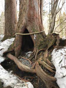Nori's Sharehouse Hakuba v zimě