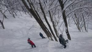 Nori's Sharehouse Hakuba v zimě