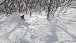 Nori's Sharehouse Hakuba v zimě