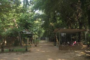 Gallery image of The Annex, Isai Ambalam guest house in Auroville