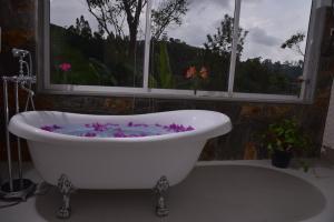a bath tub with flowers in it in front of a window at Tea Hills Bungalow in Hatton